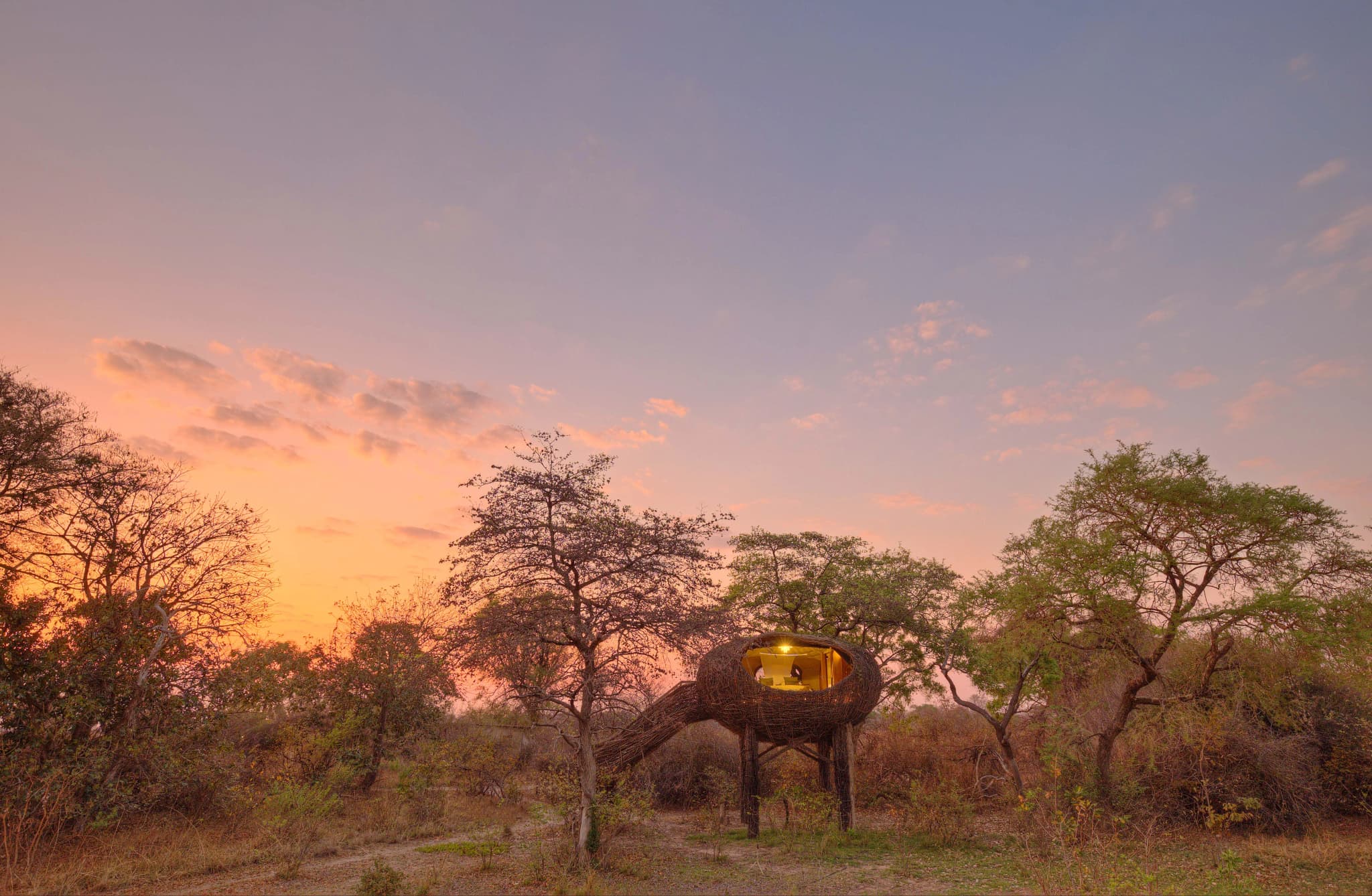 chisa bunga camp