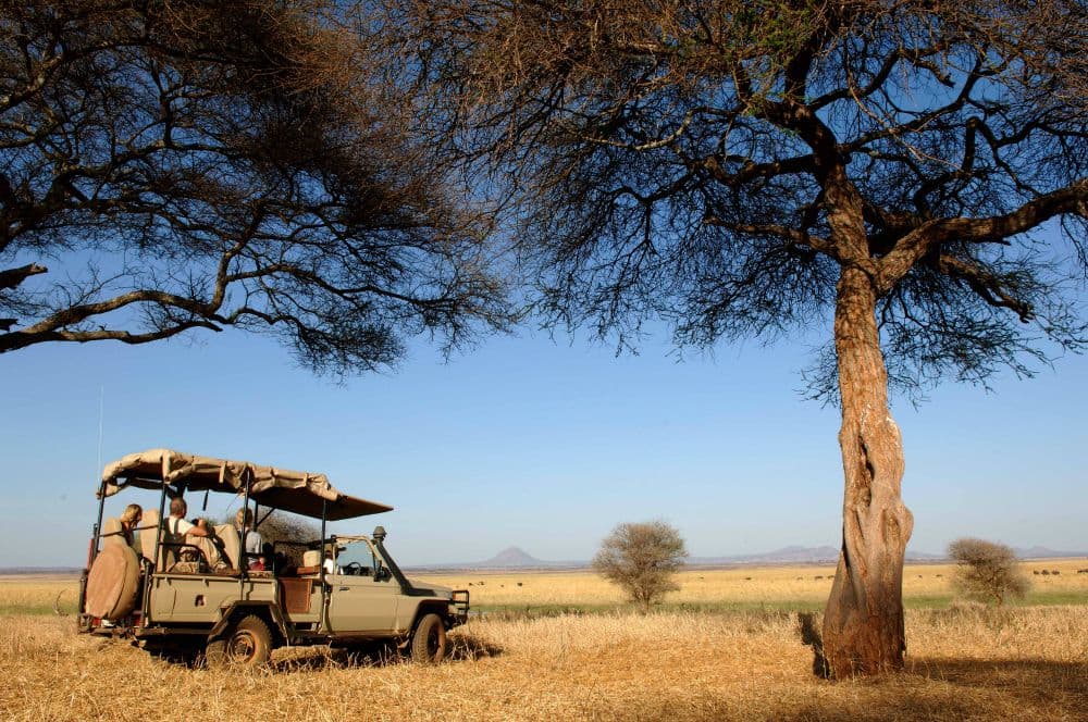 Safari Vehicle