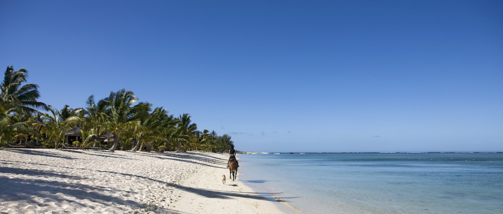 Beach and horse