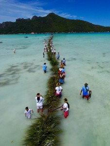 Leeward Islands Festival