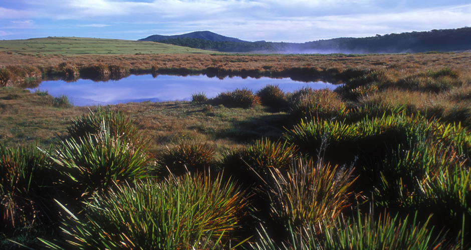 Sri Lanka Horton Plains