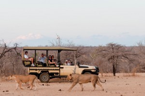 azura-selous-on-game-drive-medium