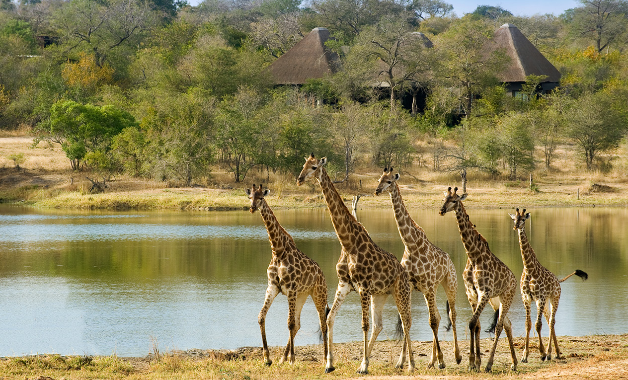 safari beach holiday