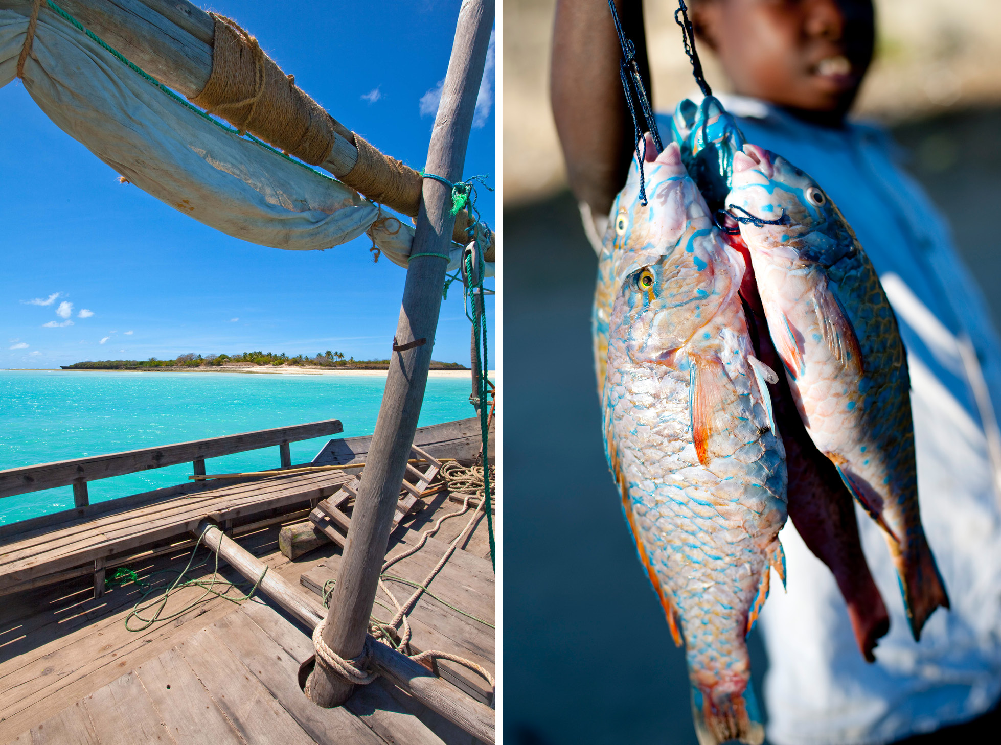 dhow-safari-northern-mozambique-fishing