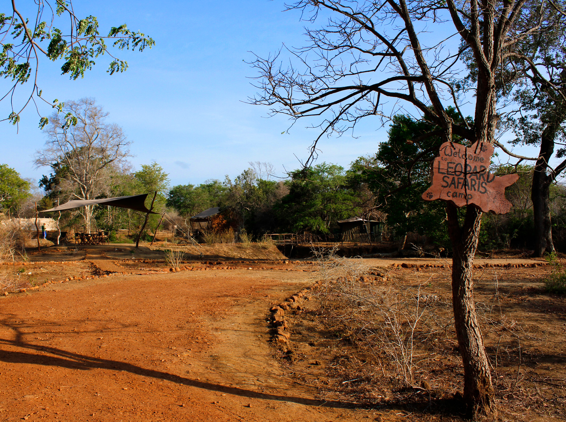 noel-rodrigo-leopard-safari-yala-national-park-sri-lanka-camp-2