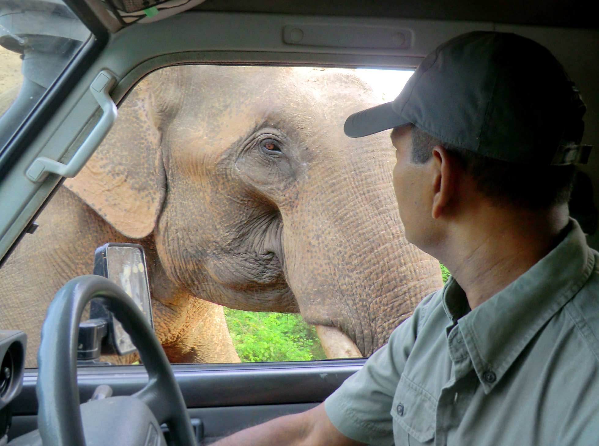 noel-rodrigo-leopard-safari-yala-national-park-sri-lanka-elephant