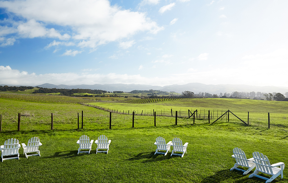 carneros-inn-field-family-road-trip-california