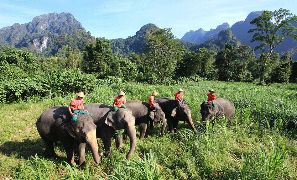 Thailand family holiday