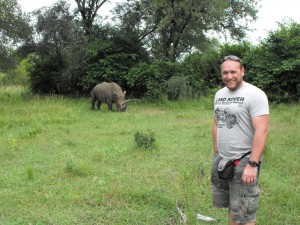 Botswana rhino