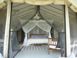 inside your tent at Lamai Serengeti, Tanzania