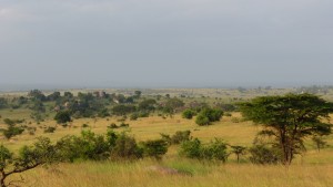 Lamai Serengeti, Tanzania plains