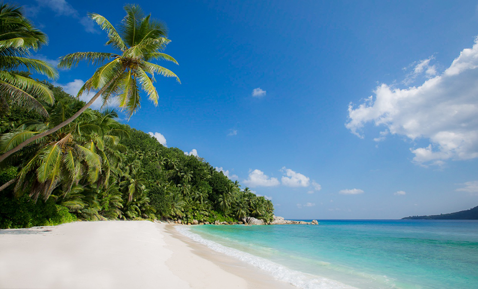 how to plan your perfect honeymoon