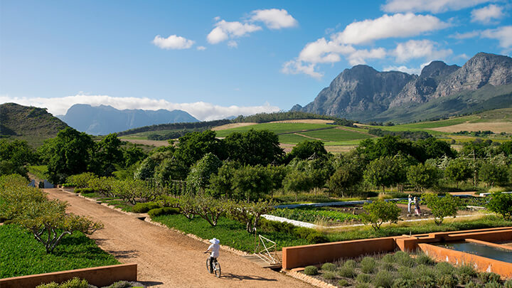 Babylonstoren