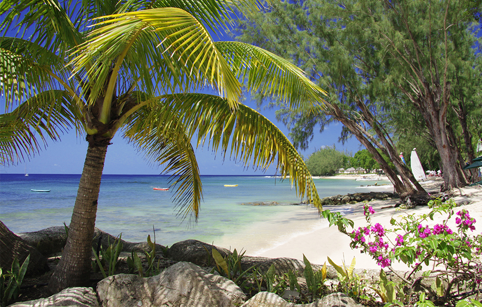 coral reef club Barbados