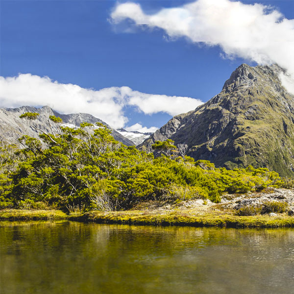 New Zealand  - Places to Go