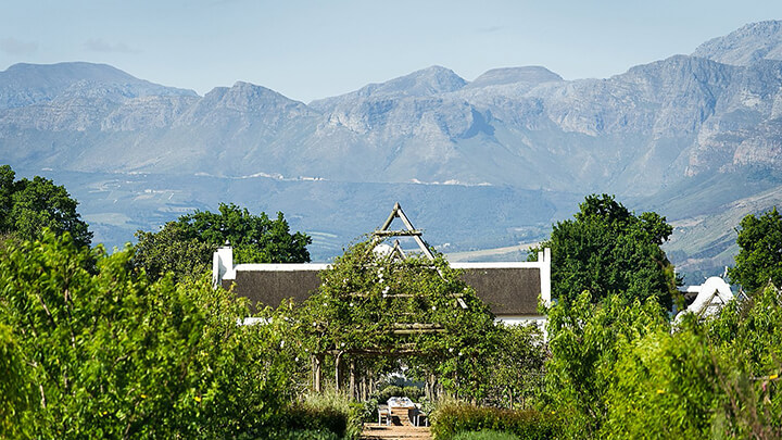 Winelands