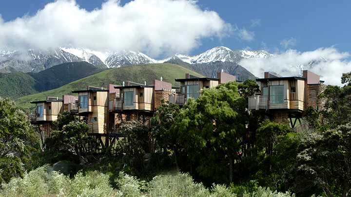 Hapuku Lodge Treehouses