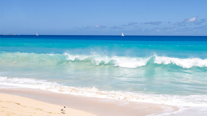 Antigua beach