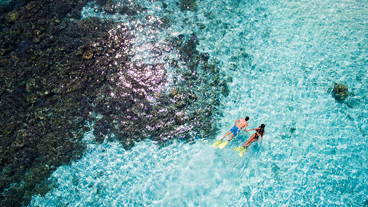 snorkelling