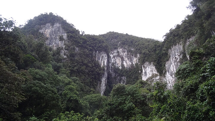 Gunung Mulu National Park