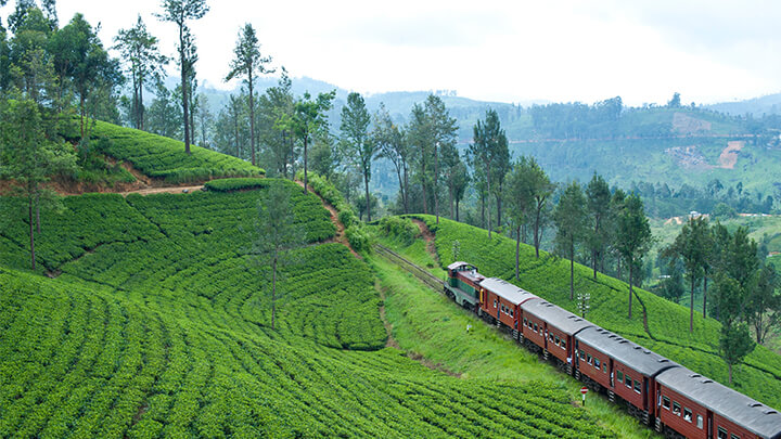 Sri Lanka train