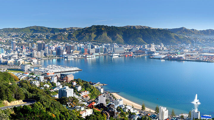 wellington