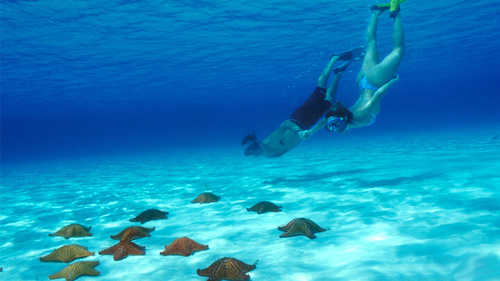 snorkelling