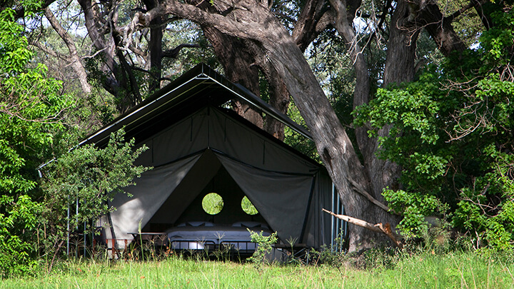 Machaba Camp