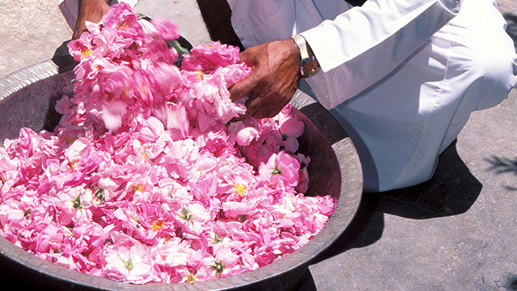 rose water in oman