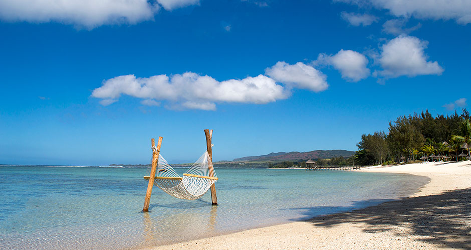 shanti maurice hammock