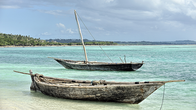 zanzibar dhows 