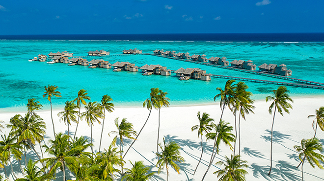 Maldives palm trees and over water villas