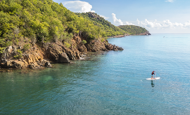 paddle boarding at carlisle bay