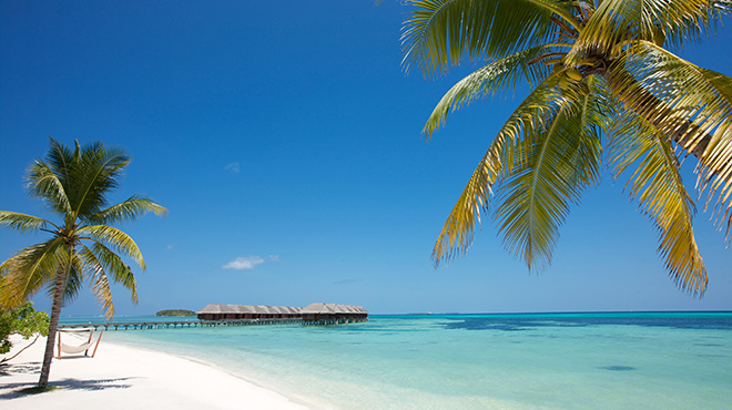 Lux South Ari Atoll