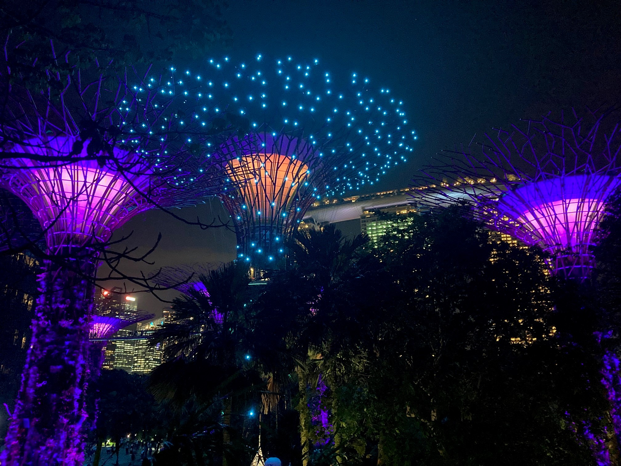 Gardens by the Bay at night