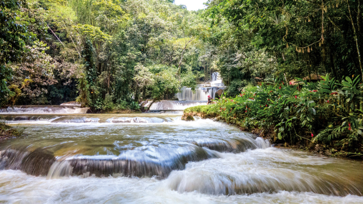 Nature Jamaica