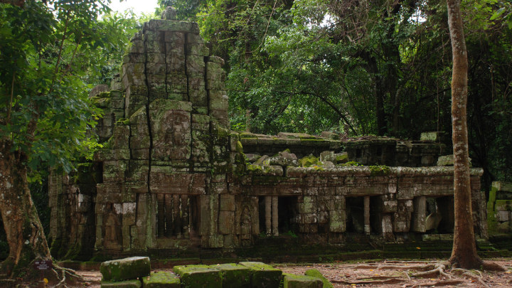 Ta Prohm