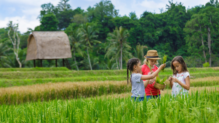 mandapa kids activity