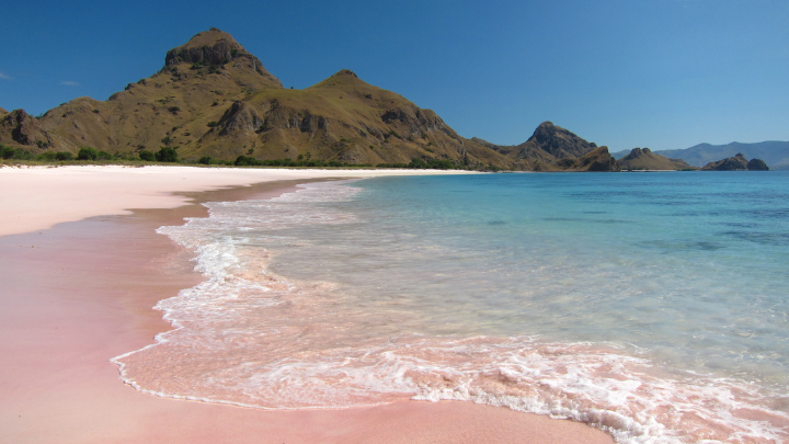 pink beach