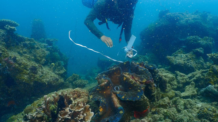 marine awareness month