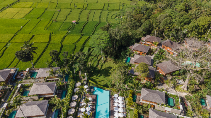 kappa senses bali