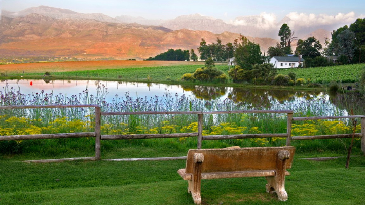 south africa winerary