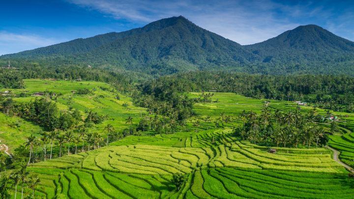 Indonesia Bali Ubud