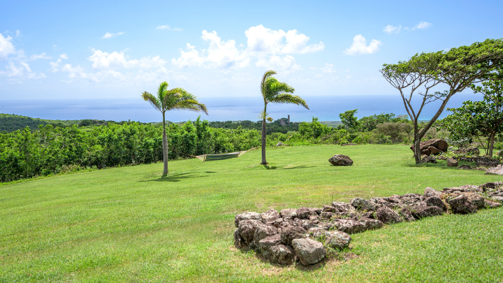Montpelier Nevis golf