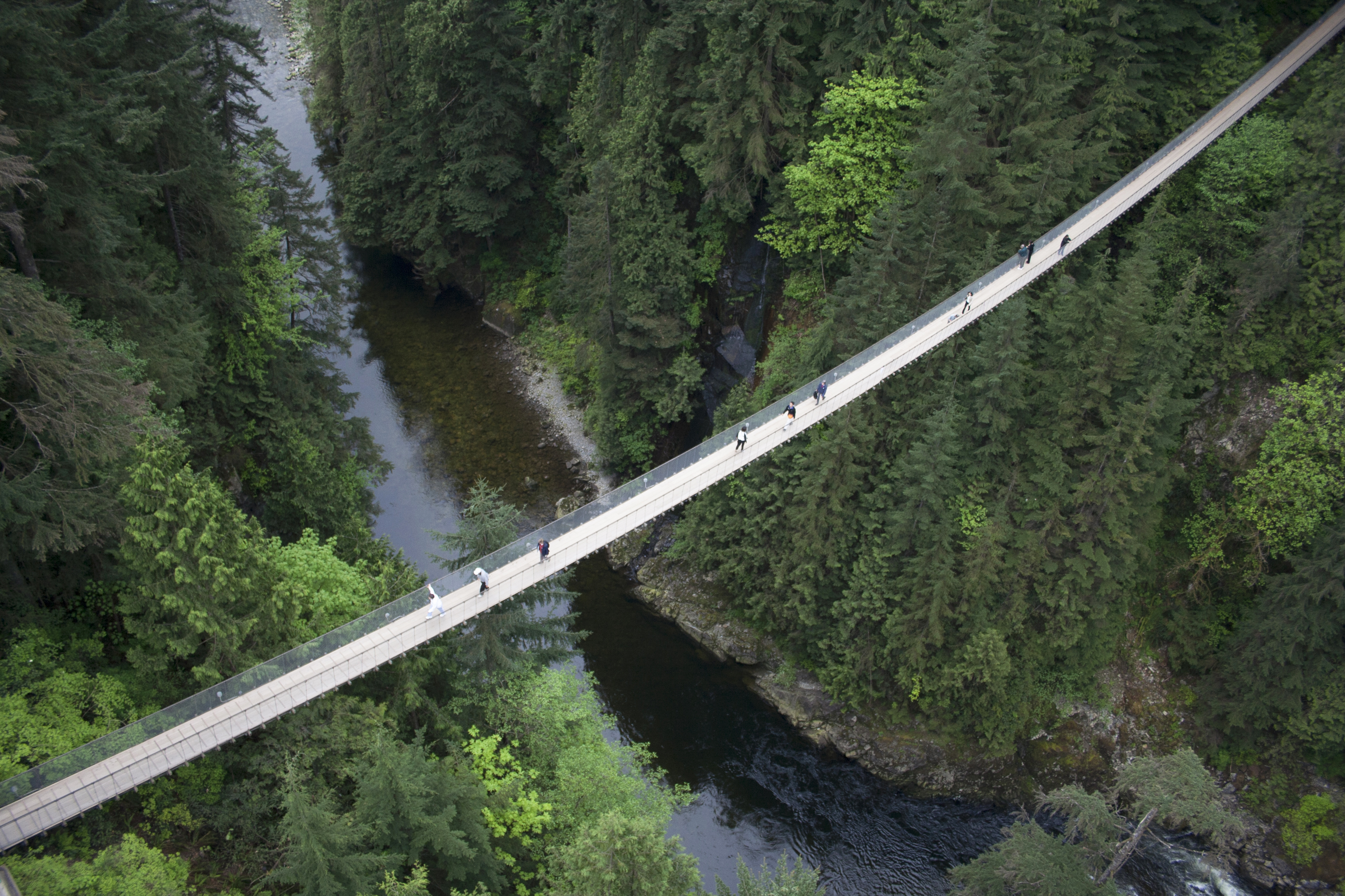 Capilano suspension bridge in Vancouver