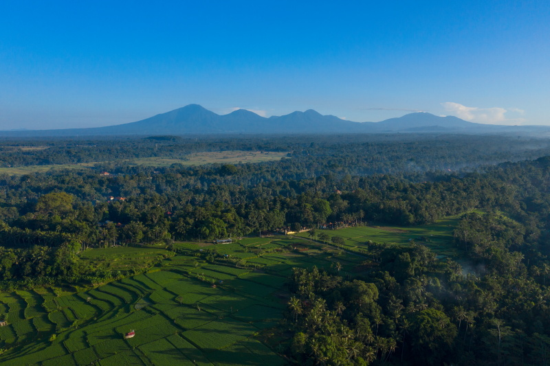 Samaya Ubud