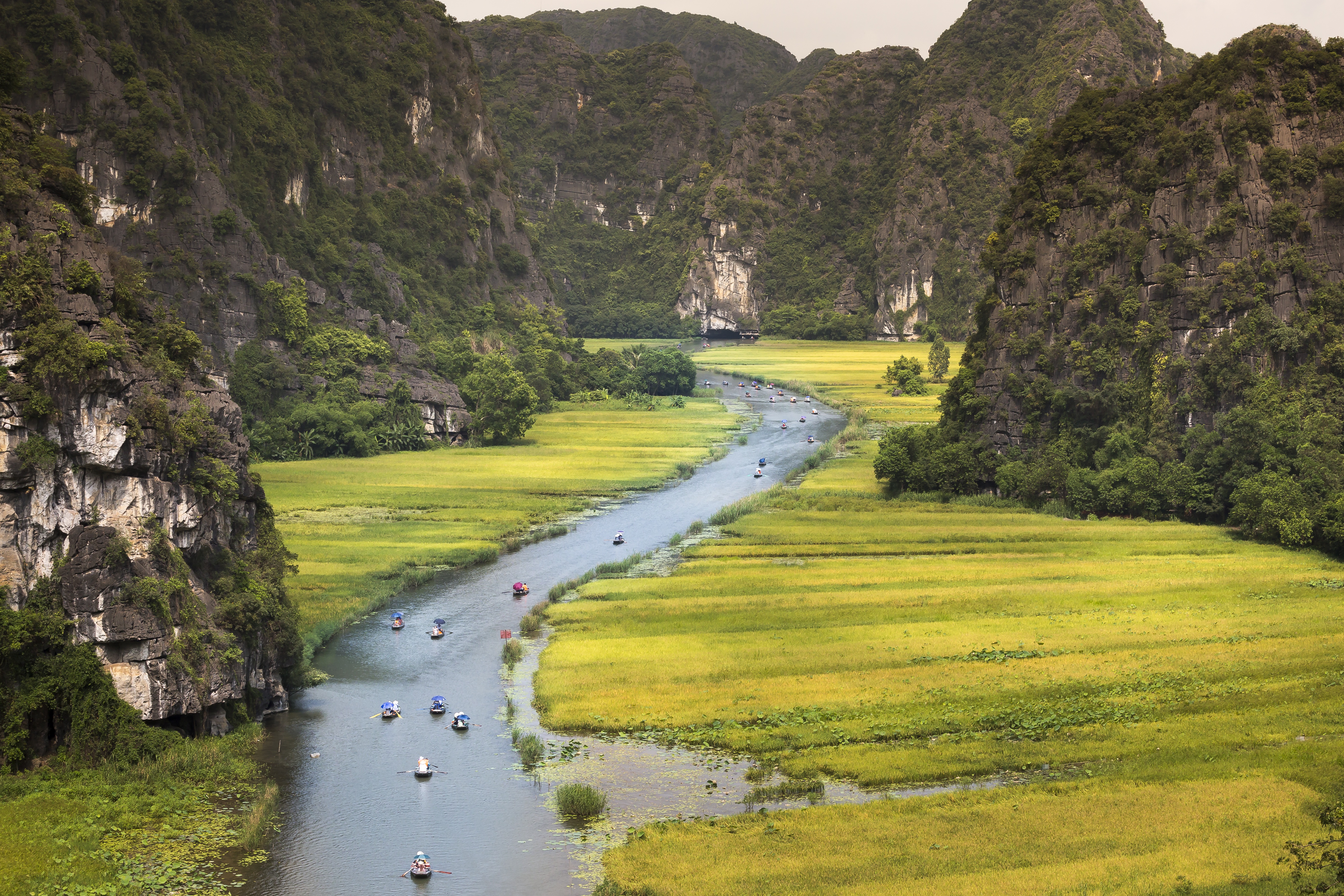 Van Long Reserve, Ninh Binh