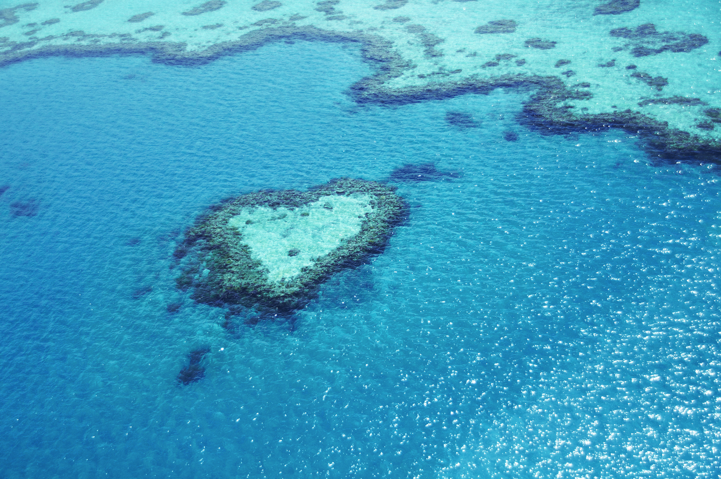 Heart Shaped reef in the lagoon at Hayman Island, Whitsundays