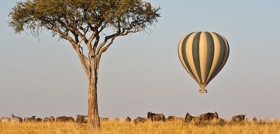 Hot air baloon safari over wildebeest herd at Hemingways Mara Camp Masai Mara