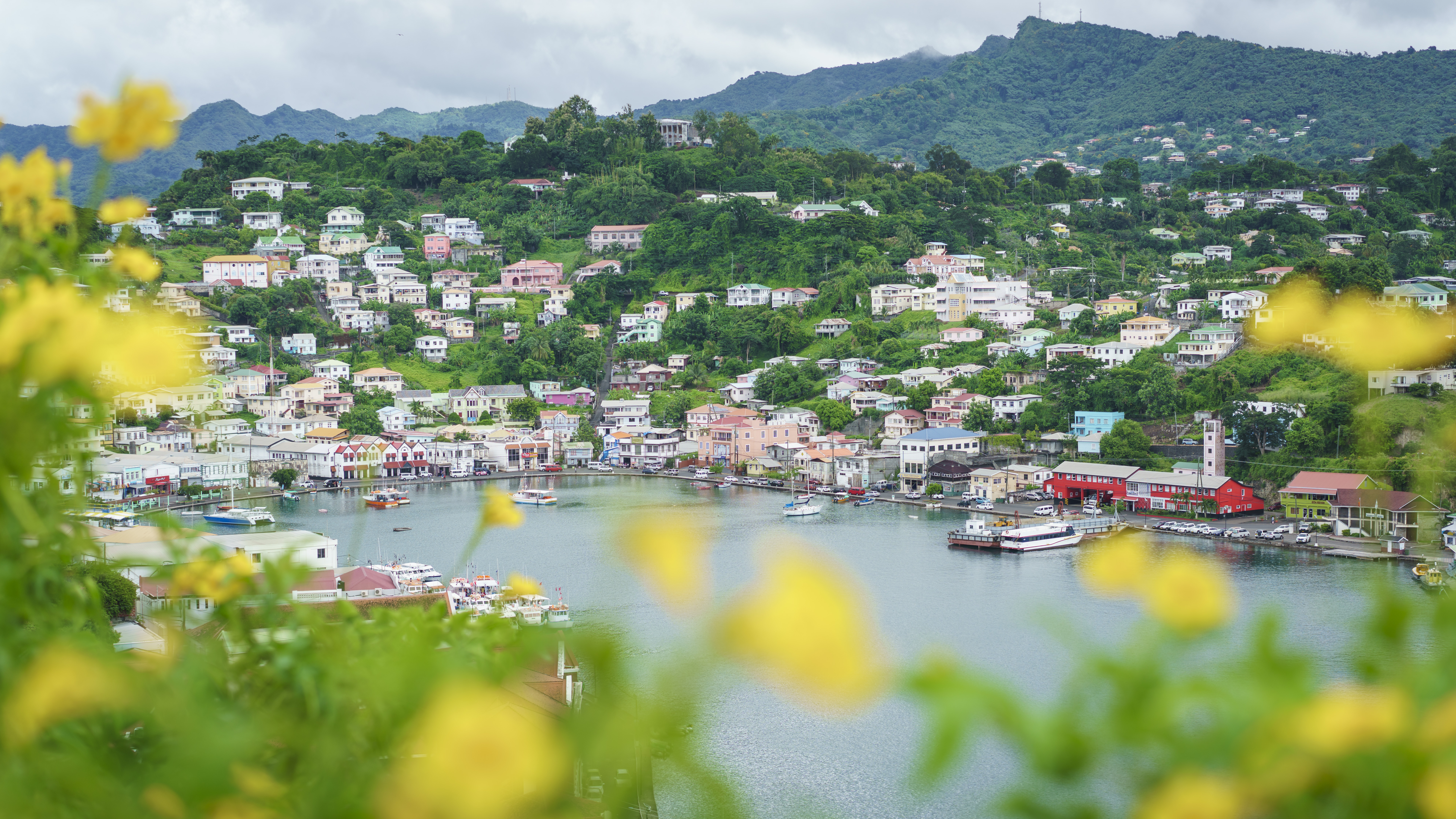 Views of St Georges, Grenada